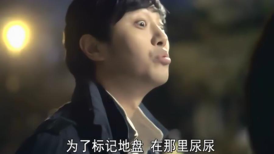 最适合你的爱情计策